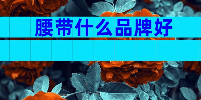 腰带什么品牌好