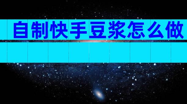 自制快手豆浆怎么做