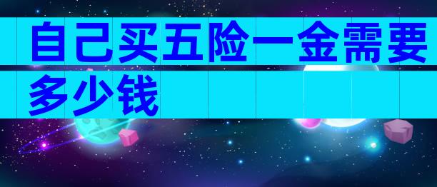 自己买五险一金需要多少钱