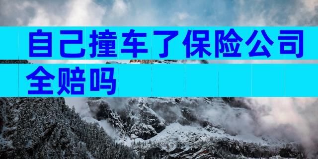自己撞车了保险公司全赔吗