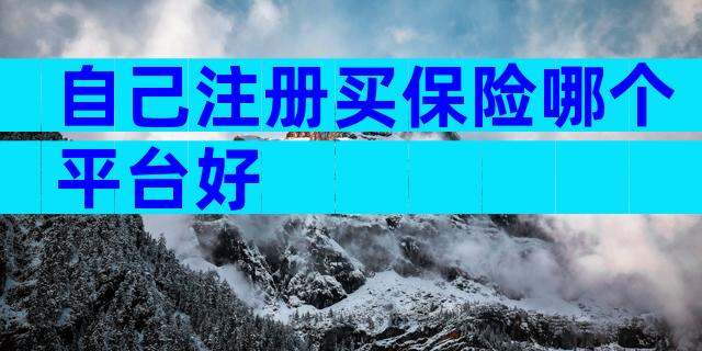 自己注册买保险哪个平台好