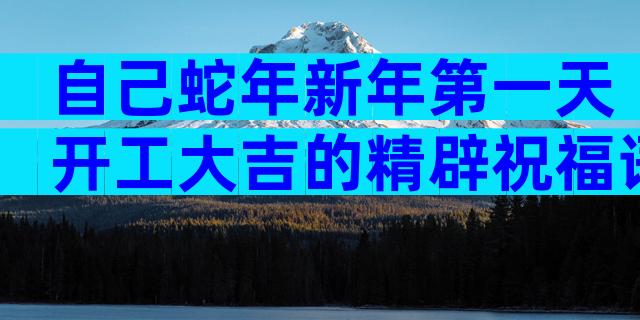 自己蛇年新年第一天开工大吉的精辟祝福语（通用3篇）