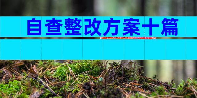 自查整改方案十篇