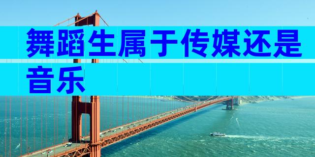 舞蹈生属于传媒还是音乐