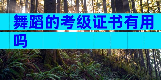舞蹈的考级证书有用吗