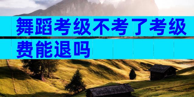 舞蹈考级不考了考级费能退吗