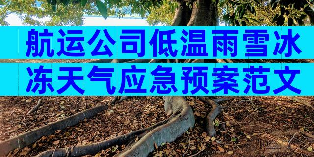 航运公司低温雨雪冰冻天气应急预案范文（精选7篇）