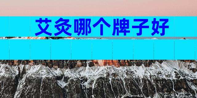 艾灸哪个牌子好