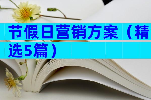 节假日营销方案（精选5篇）