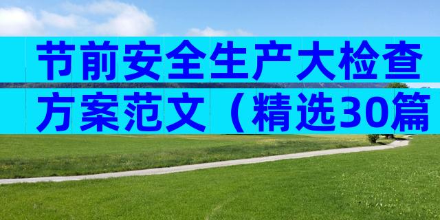 节前安全生产大检查方案范文（精选30篇）
