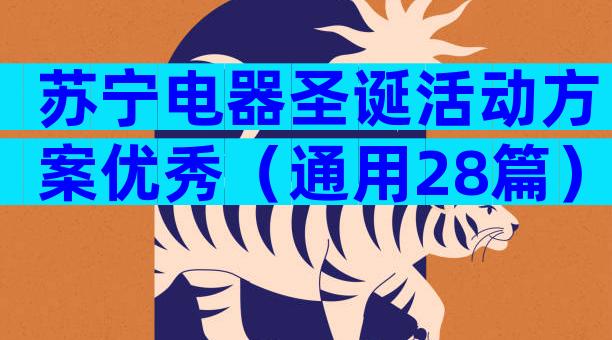 苏宁电器圣诞活动方案优秀（通用28篇）