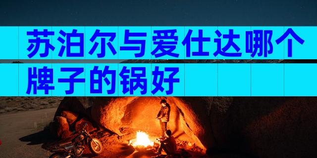 苏泊尔与爱仕达哪个牌子的锅好