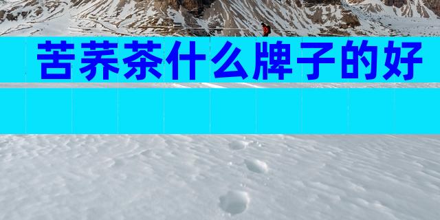 苦荞茶什么牌子的好