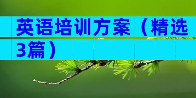 英语培训方案（精选3篇）