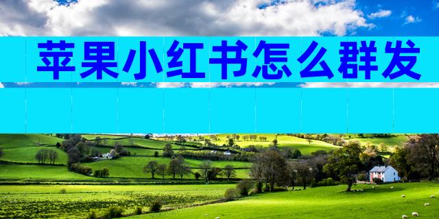 苹果小红书怎么群发