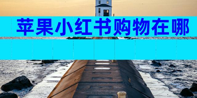 苹果小红书购物在哪