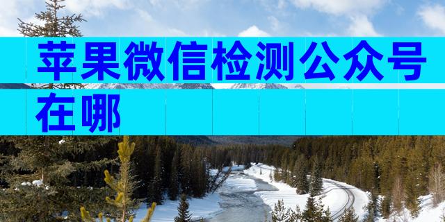 苹果微信检测公众号在哪