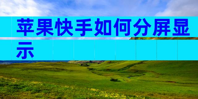 苹果快手如何分屏显示