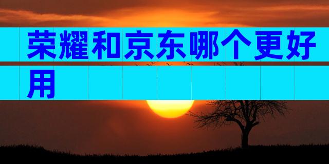 荣耀和京东哪个更好用
