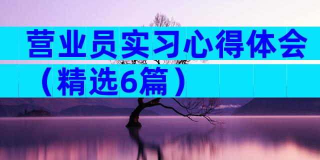 营业员实习心得体会（精选6篇）
