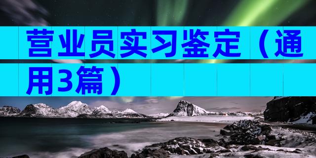 营业员实习鉴定（通用3篇）