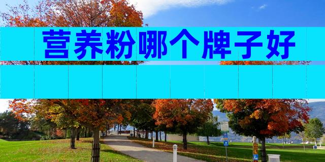 营养粉哪个牌子好