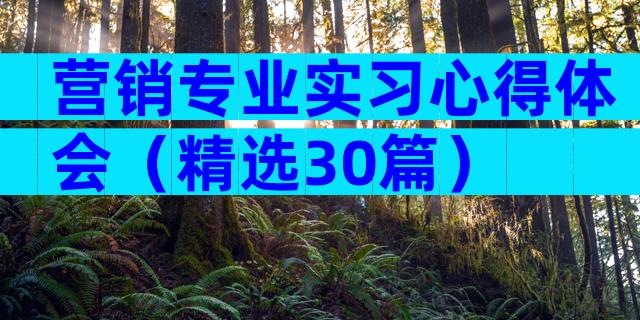 营销专业实习心得体会（精选30篇）