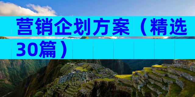 营销企划方案（精选30篇）