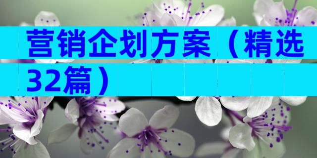 营销企划方案（精选32篇）