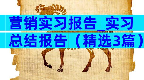 营销实习报告_实习总结报告（精选3篇）