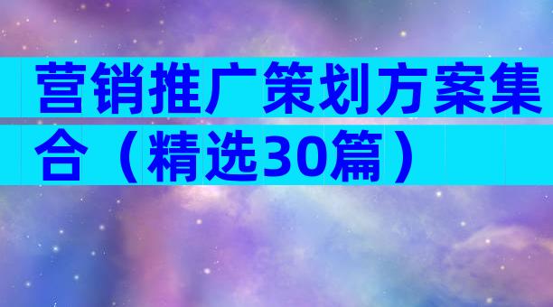 营销推广策划方案集合（精选30篇）