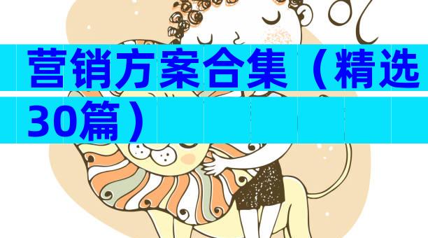 营销方案合集（精选30篇）