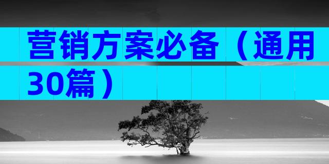 营销方案必备（通用30篇）