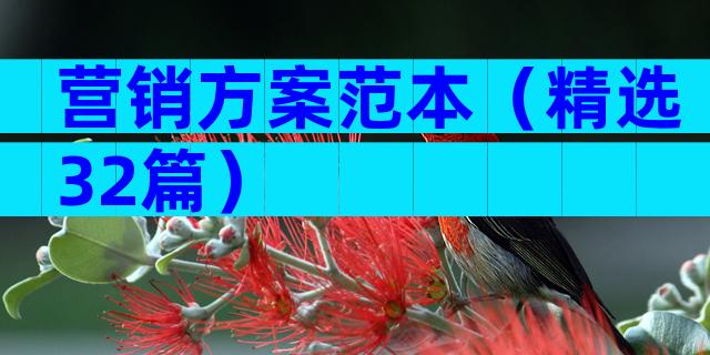 营销方案范本（精选32篇）