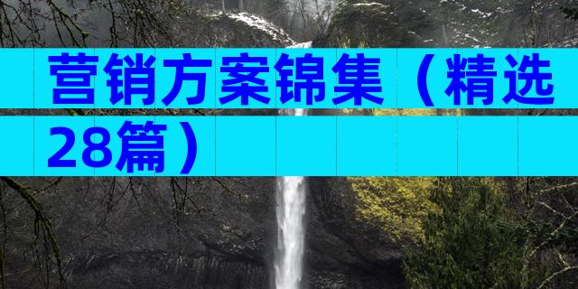 营销方案锦集（精选28篇）