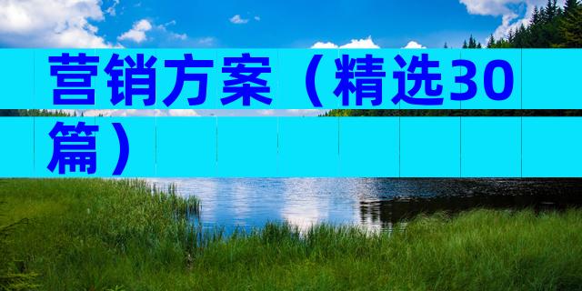 营销方案（精选30篇）