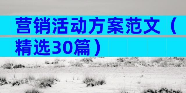 营销活动方案范文（精选30篇）