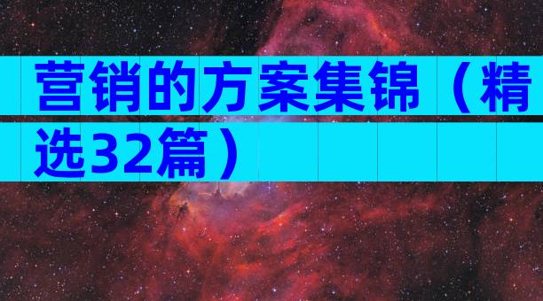 营销的方案集锦（精选32篇）