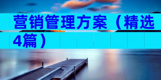 营销管理方案（精选4篇）