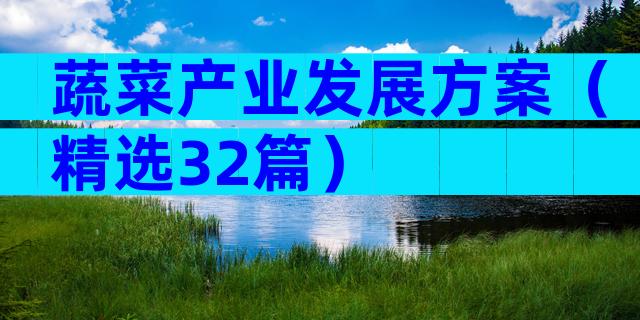 蔬菜产业发展方案（精选32篇）