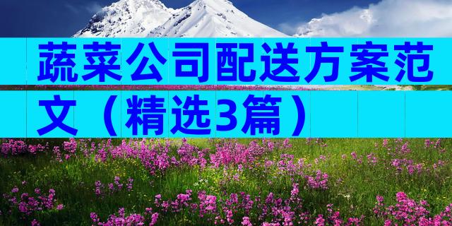 蔬菜公司配送方案范文（精选3篇）