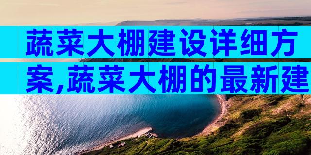 蔬菜大棚建设详细方案,蔬菜大棚的最新建造技术（精选3篇）