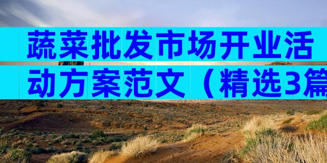 蔬菜批发市场开业活动方案范文（精选3篇）