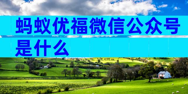 蚂蚁优福微信公众号是什么