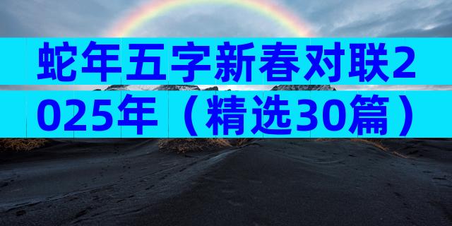 蛇年五字新春对联2025年（精选30篇）