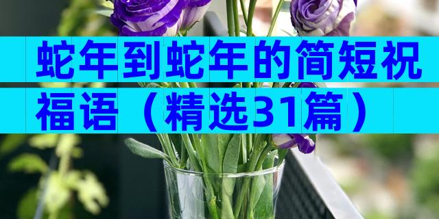 蛇年到蛇年的简短祝福语（精选31篇）
