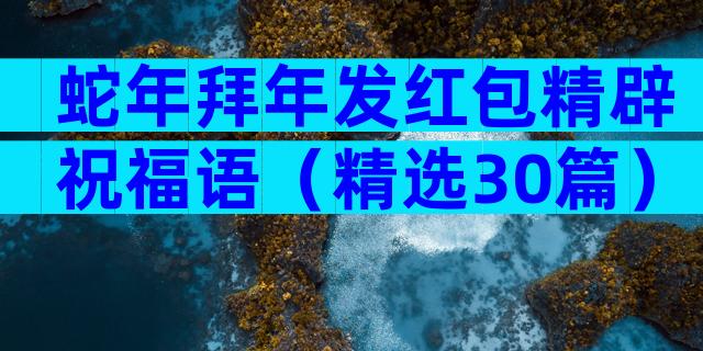 蛇年拜年发红包精辟祝福语（精选30篇）