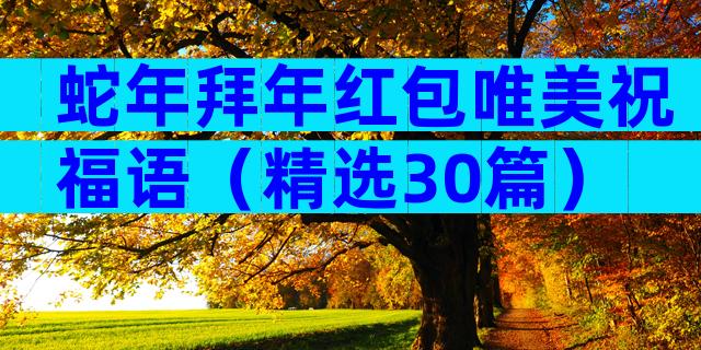 蛇年拜年红包唯美祝福语（精选30篇）