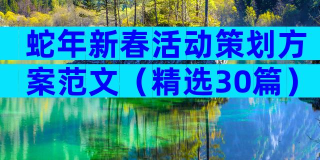 蛇年新春活动策划方案范文（精选30篇）