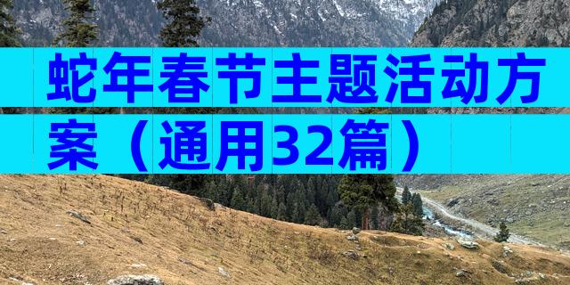 蛇年春节主题活动方案（通用32篇）